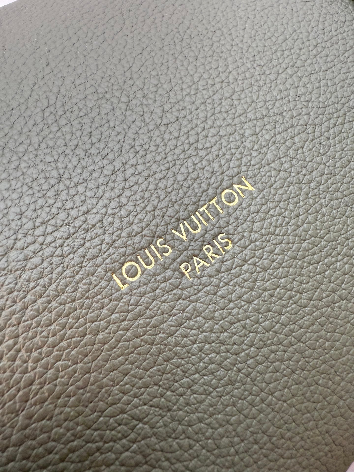 حقيبة Louis Vuitton Ever More - الصورة 6